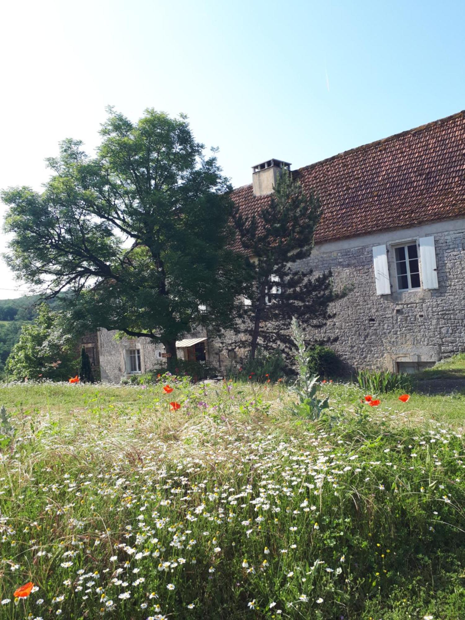La Ferme De Roquedure Hotel Montfaucon  Luaran gambar